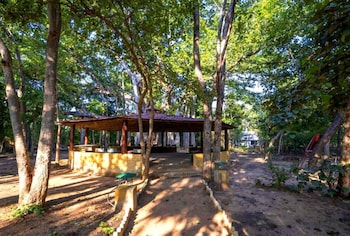 maharaja kothi resort bandhavgarh