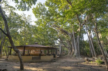 maharaja kothi resort bandhavgarh
