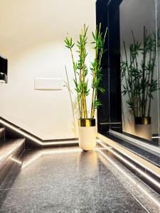 rehoboth signature luxury stay