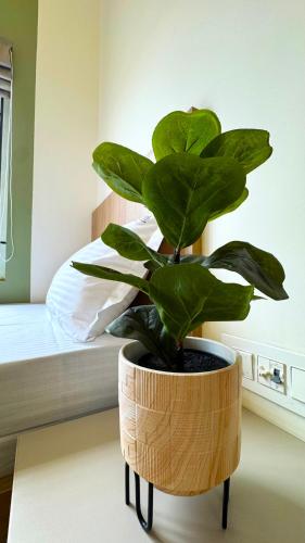 rehoboth signature luxury stay