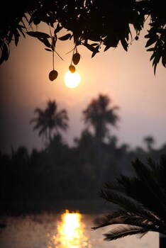 vedic village retreat alleppey