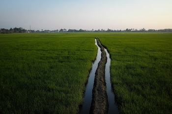 vedic village retreat alleppey