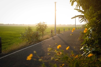 vedic village retreat alleppey
