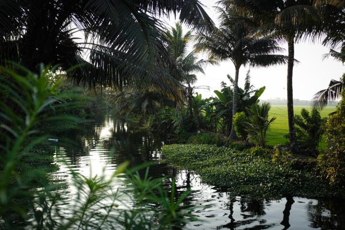 vedic village retreat alleppey
