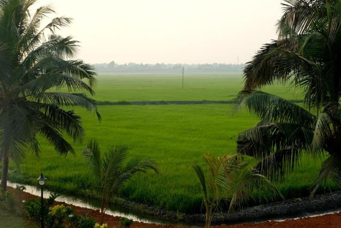 vedic village retreat alleppey