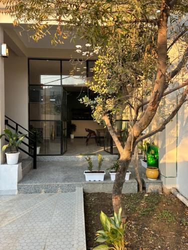 casa garden low aqi hill view stay for peace