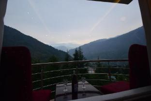 hotel snow world manali