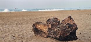 beachgarden stay