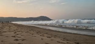 beachgarden stay
