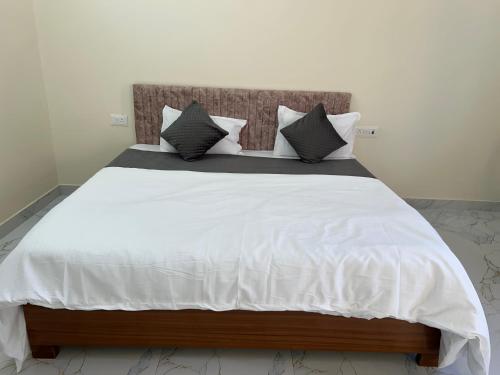 hotel pampa sarovar
