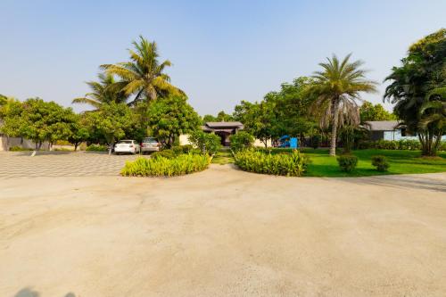 mj resort