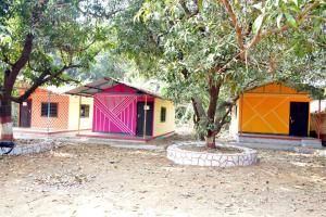 nivant agro experience