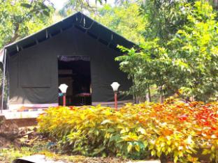 nivant agro experience