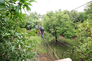 nivant agro experience