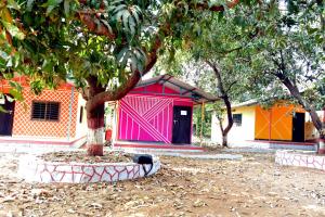 nivant agro experience
