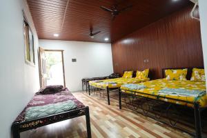 nivant agro experience