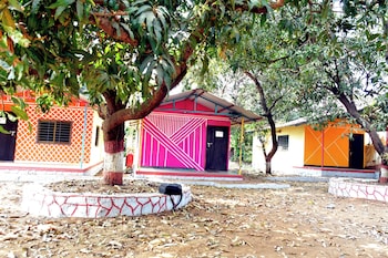 nivant agro experience