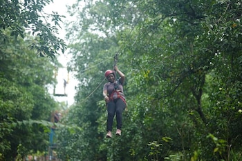 nivant agro experience