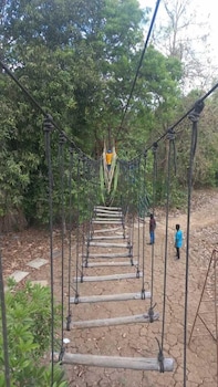 nivant agro experience