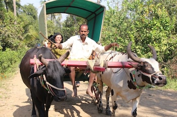 nivant agro experience