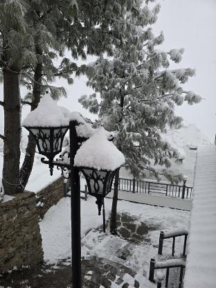 the glamp hills auli