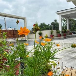 vijaya palace resort