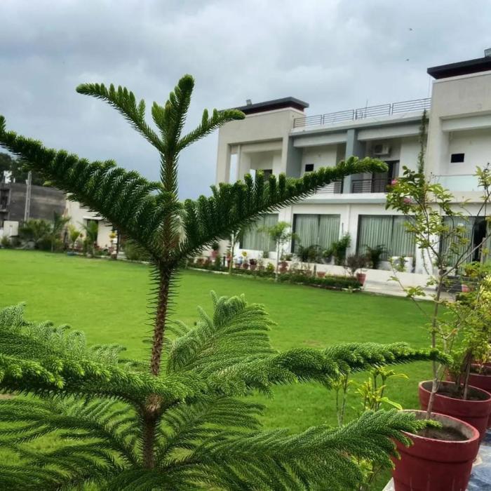vijaya palace resort