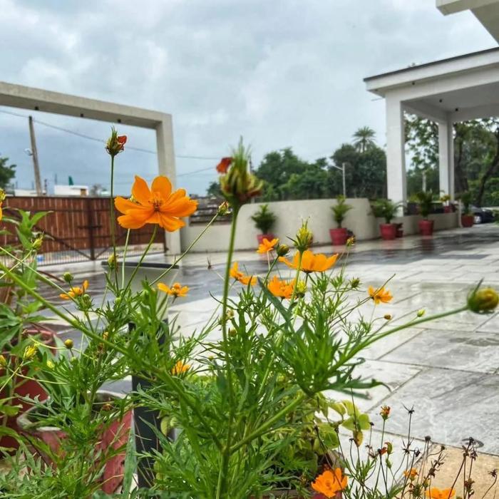 vijaya palace resort