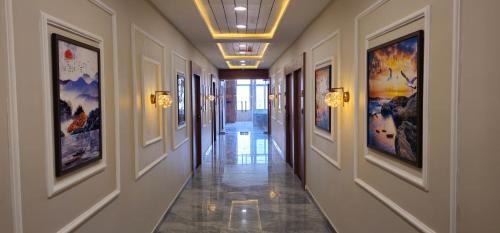 hotel velvet vista
