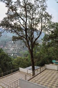 the tree lounge