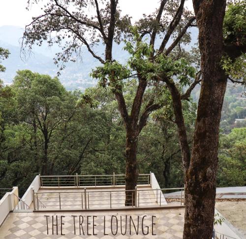 the tree lounge