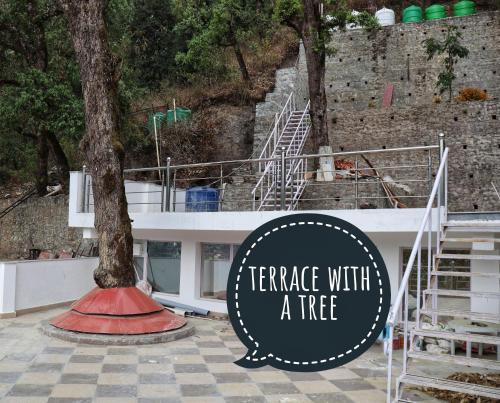 the tree lounge