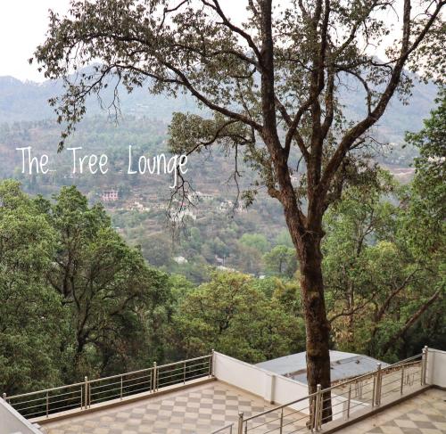 the tree lounge