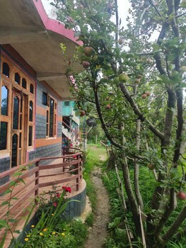 royal parshar lake home stay