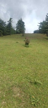 royal parshar lake home stay