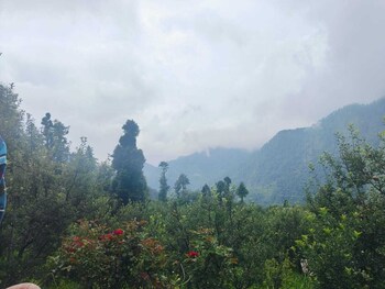 royal parshar lake home stay