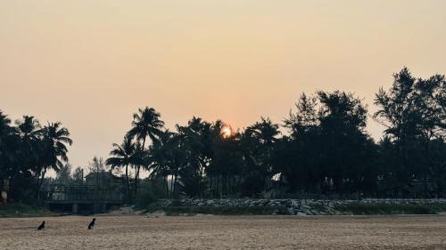 leela sea scape