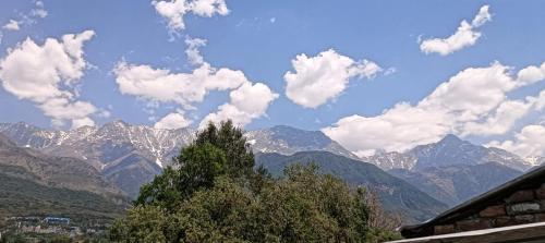 pooja homestay
