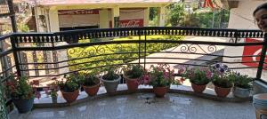 pooja homestay