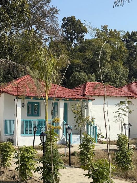 white oasis jungle resort