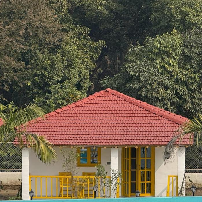 white oasis jungle resort