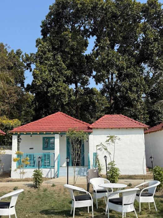 white oasis jungle resort