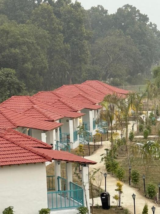 white oasis jungle resort