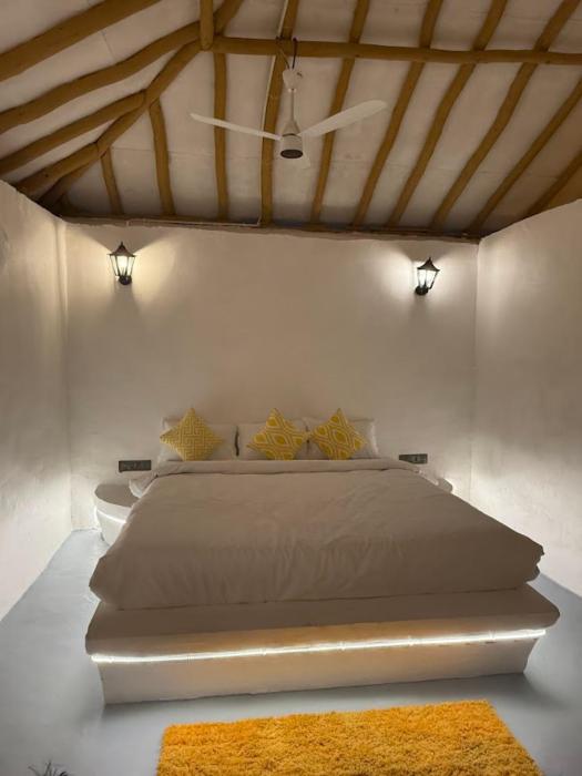 white oasis jungle resort