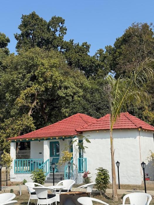 white oasis jungle resort