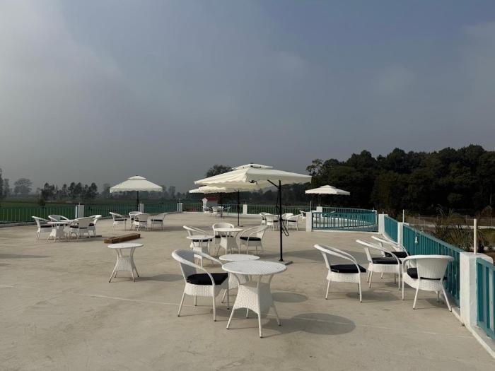 white oasis jungle resort
