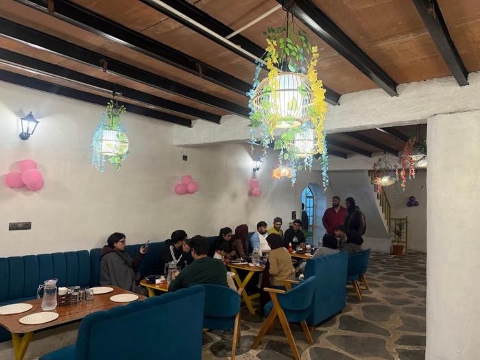 white oasis jungle resort