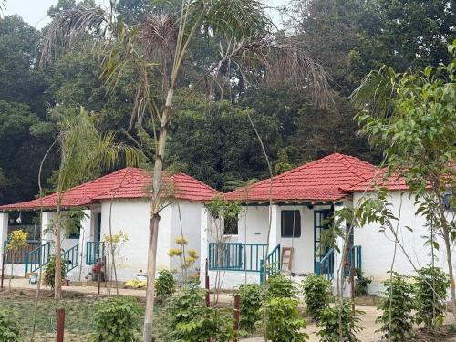 white oasis jungle resort