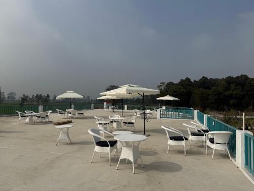 white oasis jungle resort