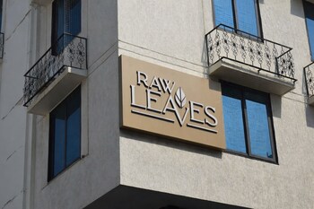 raw leaves